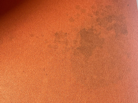 Vienna House by Wyndham Havelufer Potsdam主图