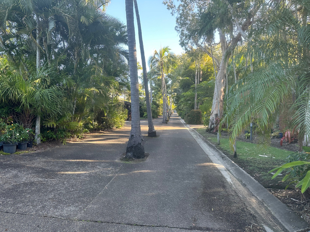 Comfort Resort Blue Pacific主图