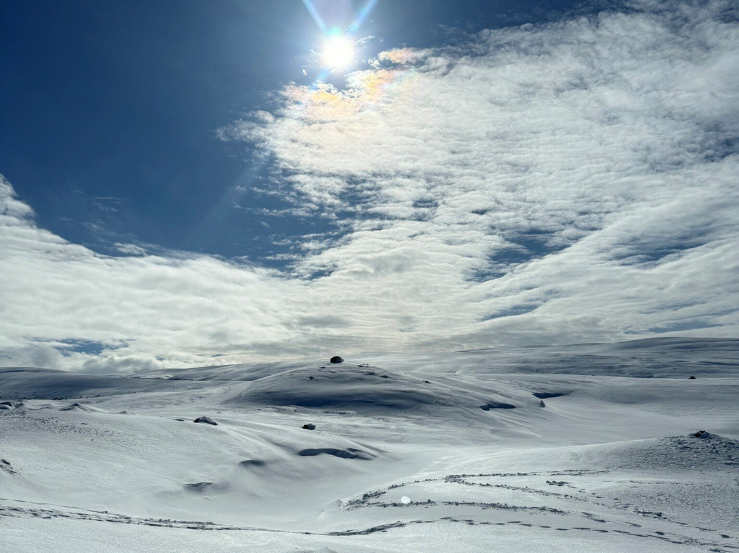 Yogihorse Iceland-Hofsos必去景点