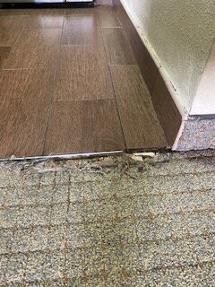 科文顿驻桥套房酒店主图