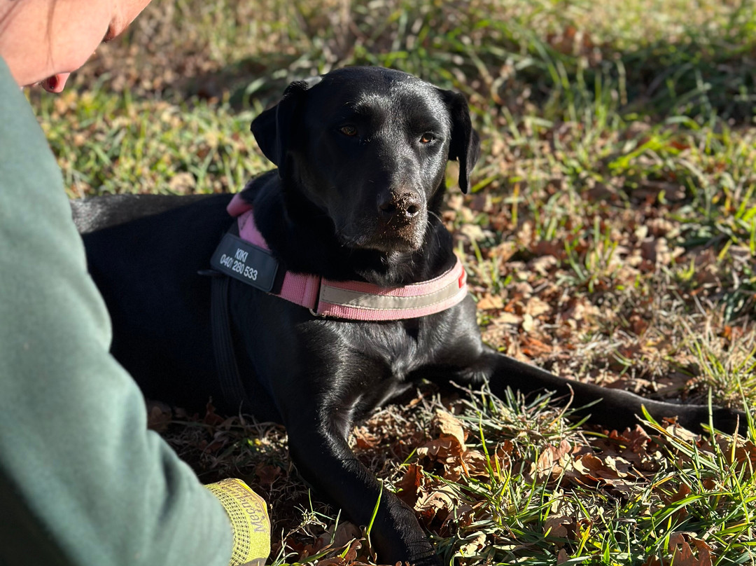The Truffledore-Barrington必去景点