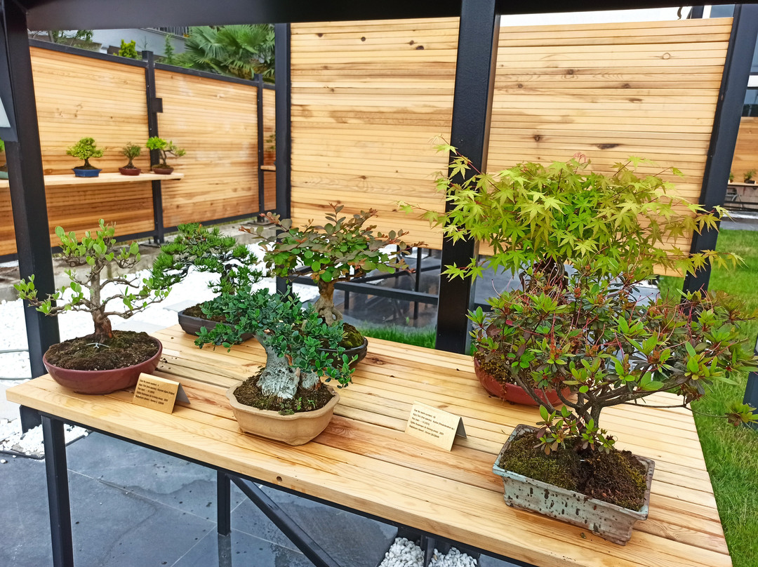 Yalova Bonsai Müzesi景点图片