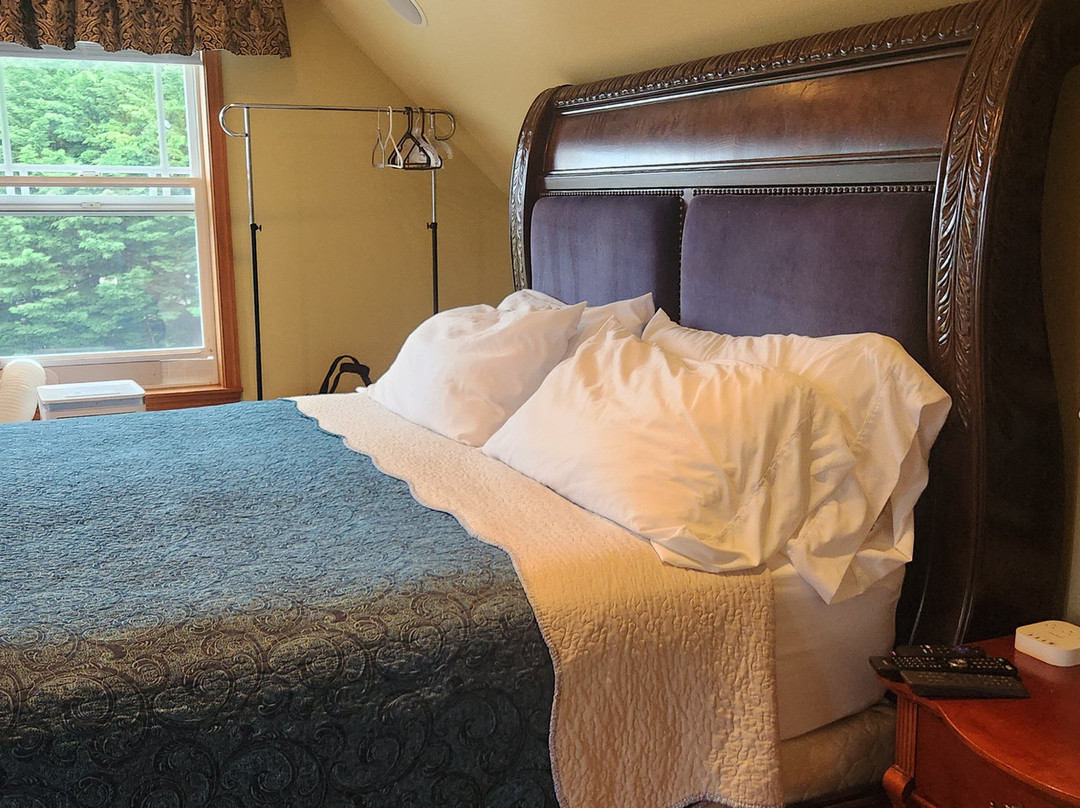 The Mansion Inn主图