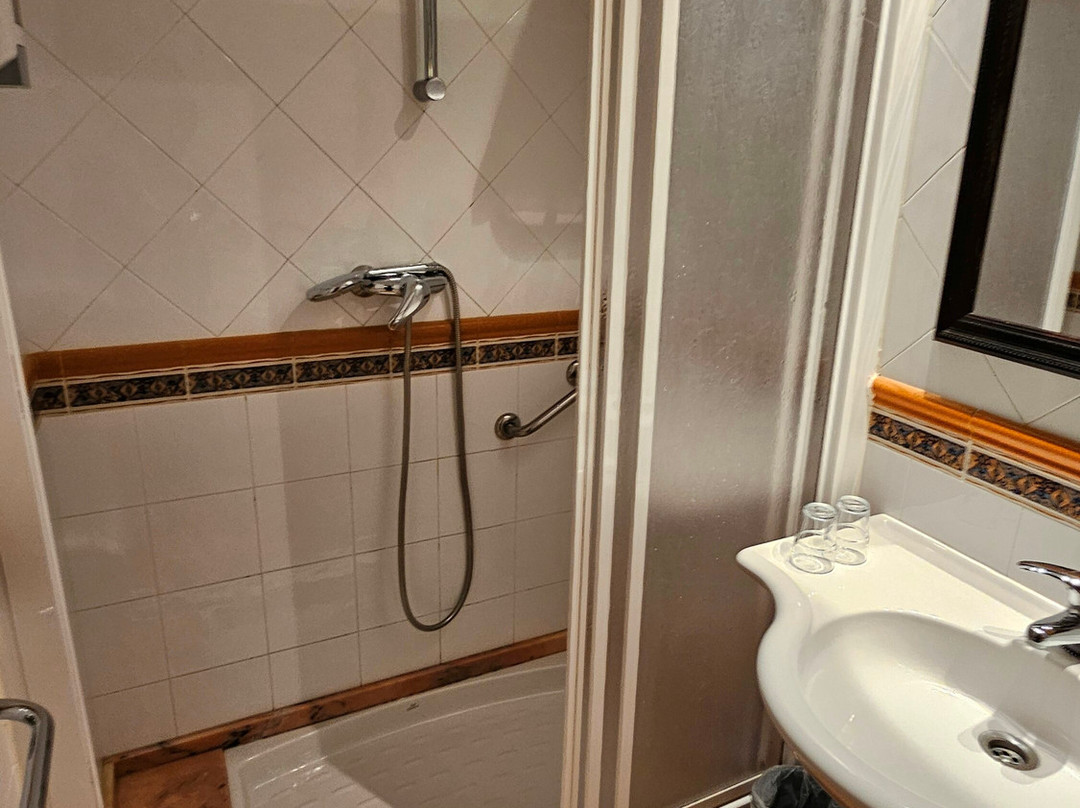 Hotel Condes De Lemos主图