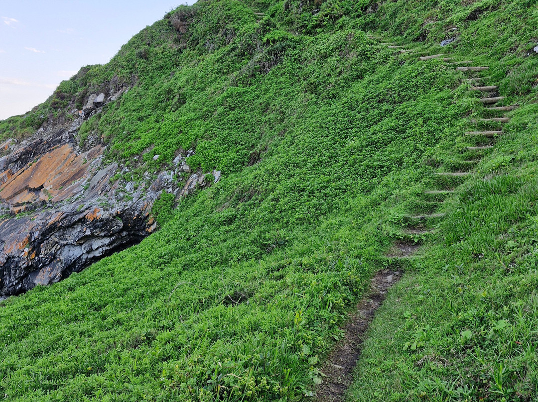 Otter Trail景点图片