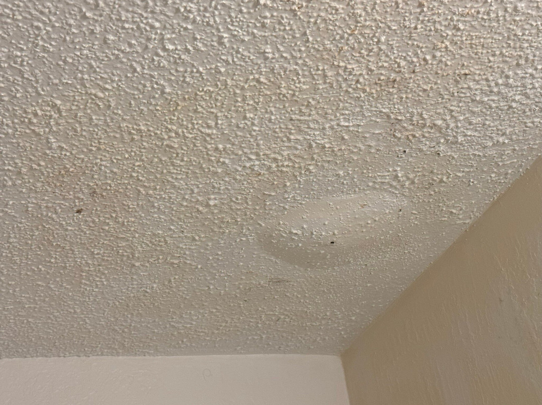 拉顿速8酒店主图