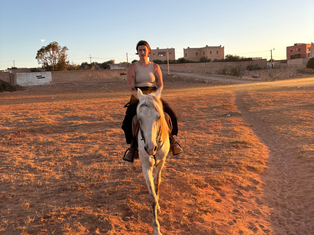 Morocco Ocean Horses-Sidi Kaouki必去景点