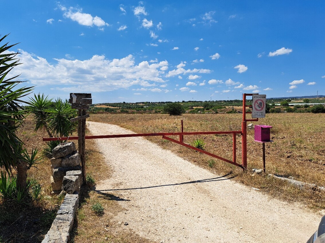 Gravina di Riggio-Grottaglie必去景点