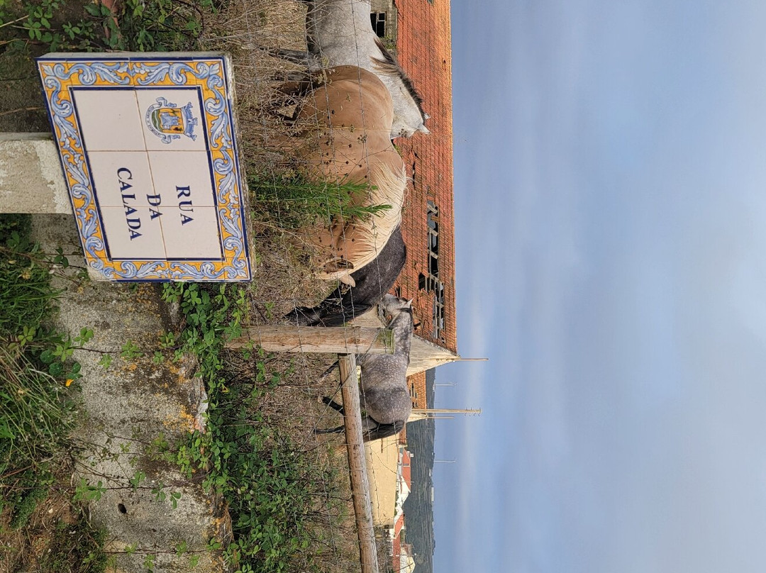 West Trekking Portugal景点图片