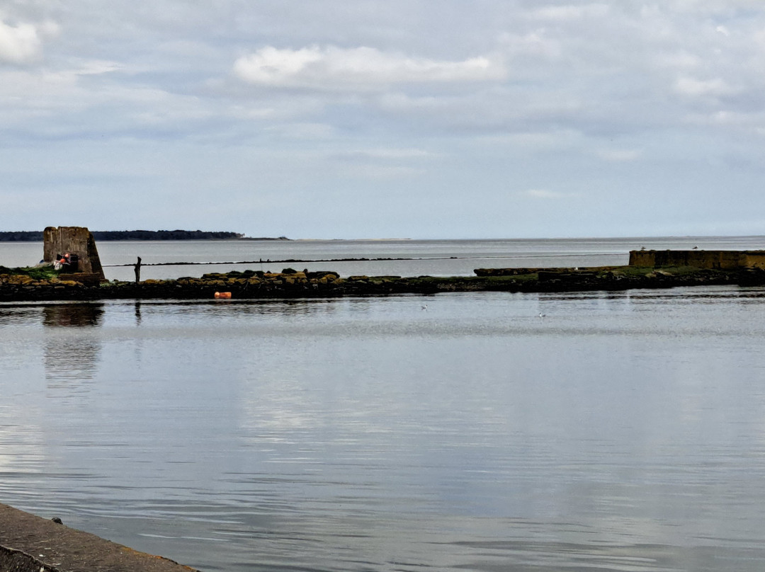 Wexford Harbour-韦克斯福德必去景点