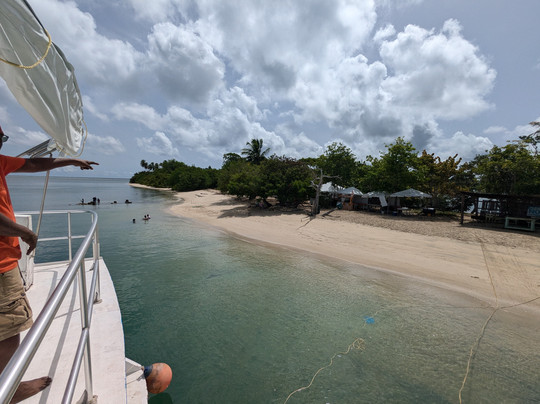 Splash Sports Catamaran Cruises-斯卡伯勒必去景点