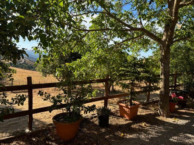 Agriturismo S'Armidda主图