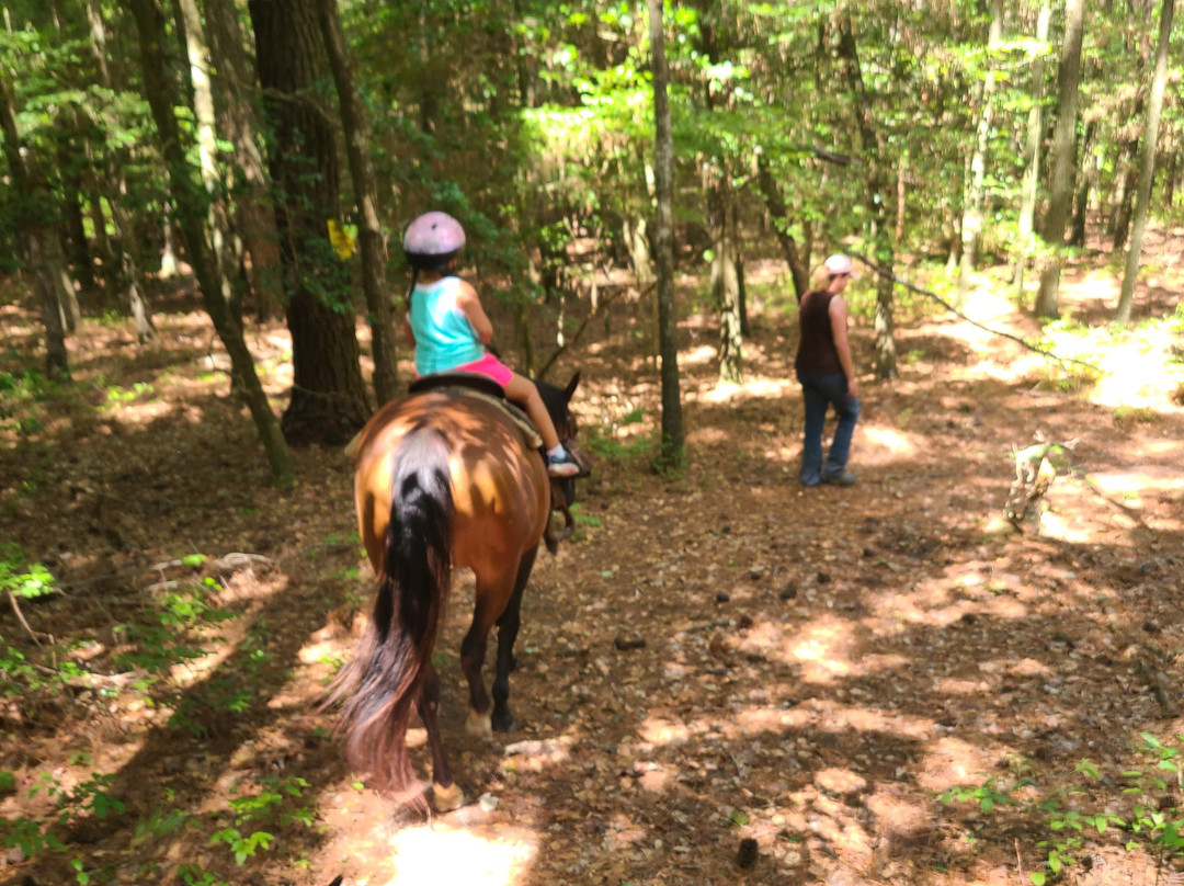 Queen Hive Farm-Assawoman必去景点
