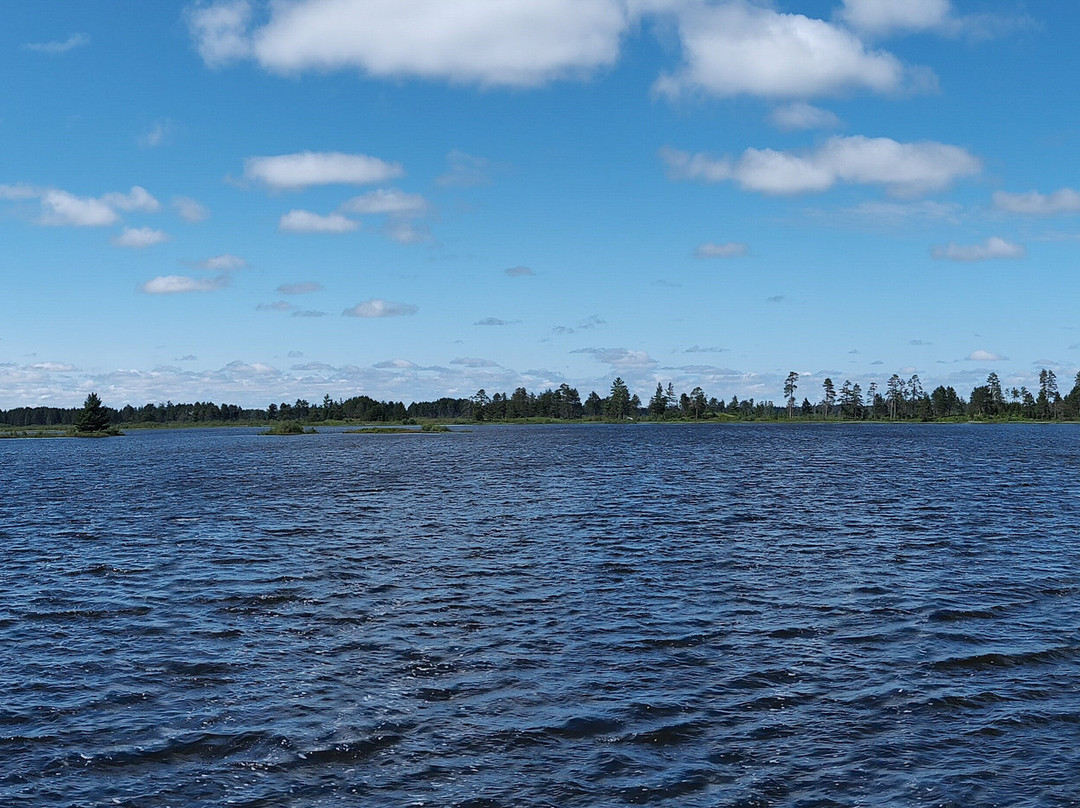 Seney National Wildlife Refuge景点图片
