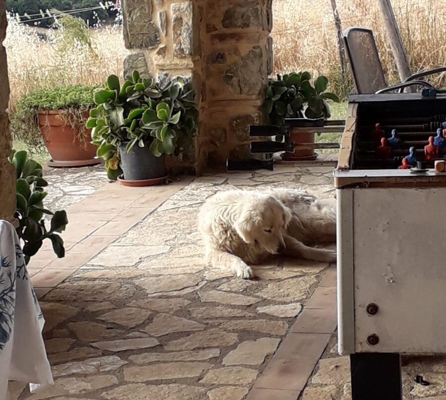 Agriturismo Poggio Mario主图