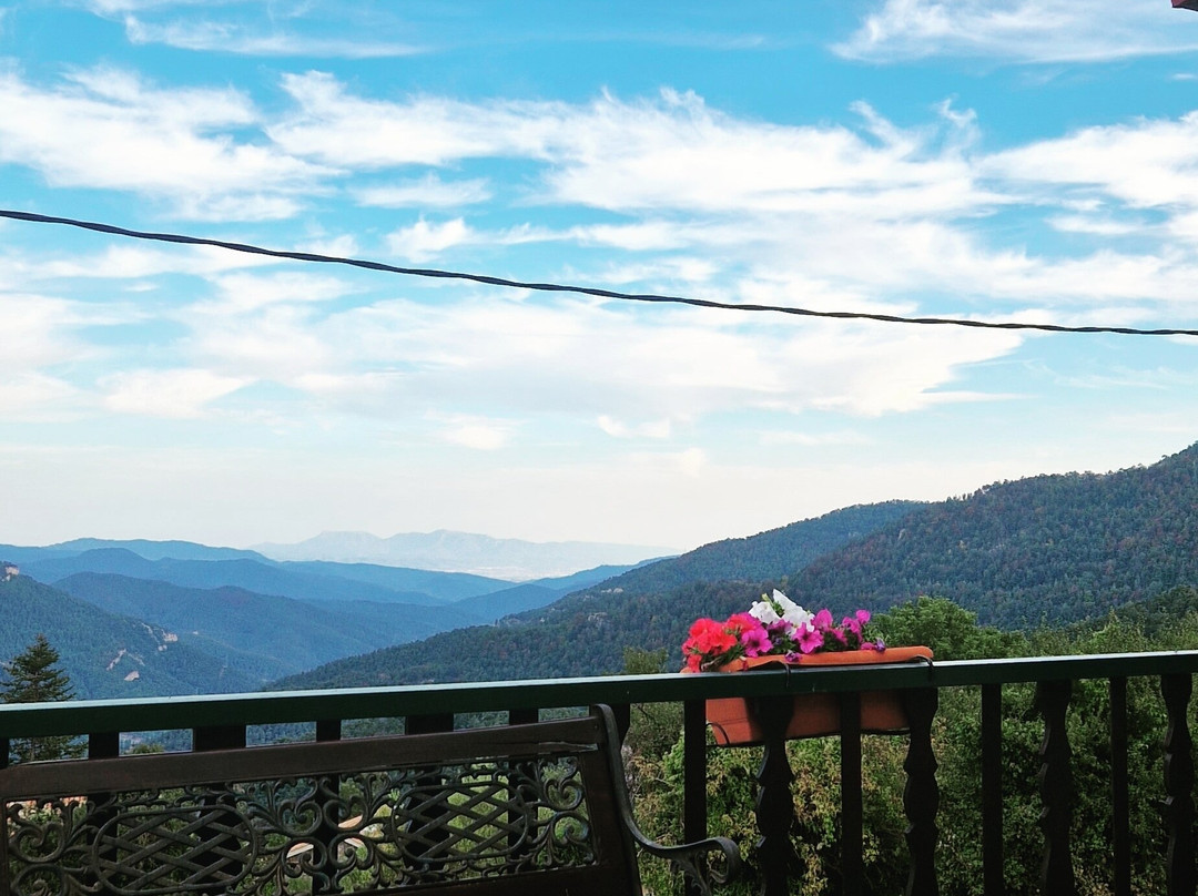 Hotel Terralta主图