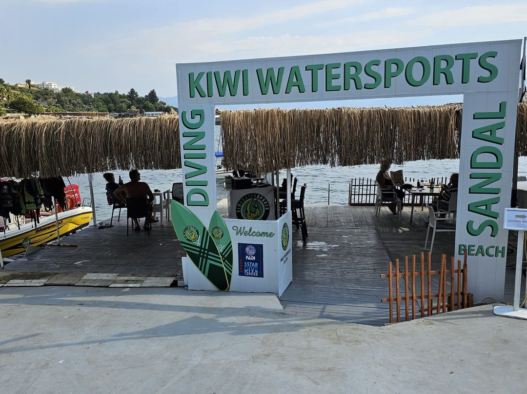Kiwi Watersports & Dive Center景点图片