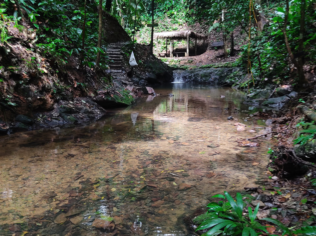 Tacarcuna Lodge主图