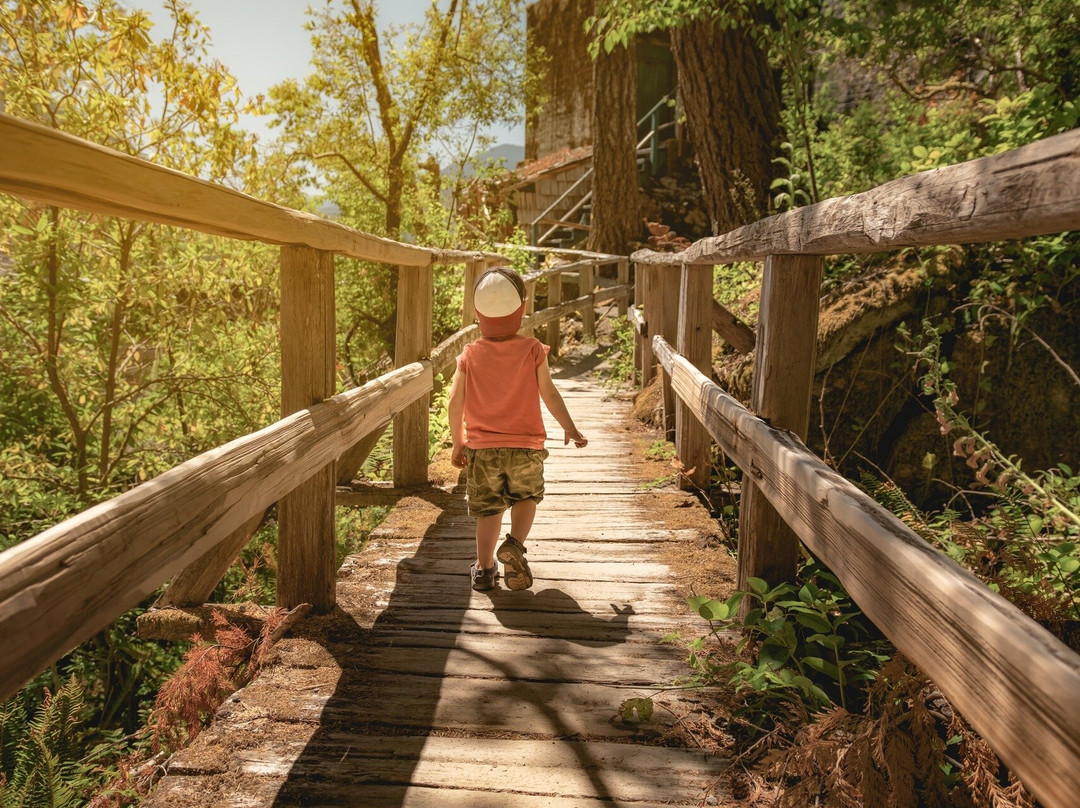 Shaka Guide Audio Tour Guide: North Cascades