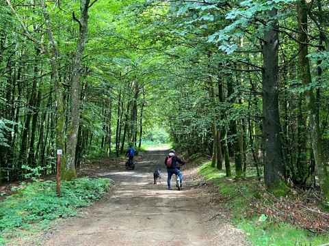Trott'in Forest-Le Soulie必去景点