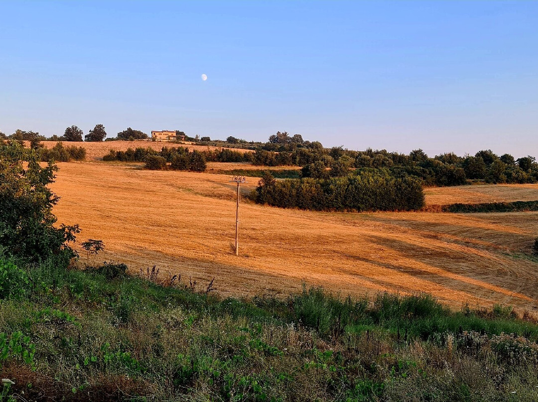 Antica Fattoria del Colle主图