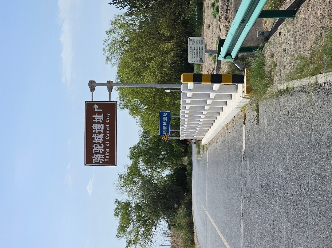 骆驼城遗址景点图片