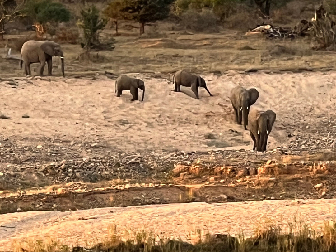 Pan African Lodge & Safari主图