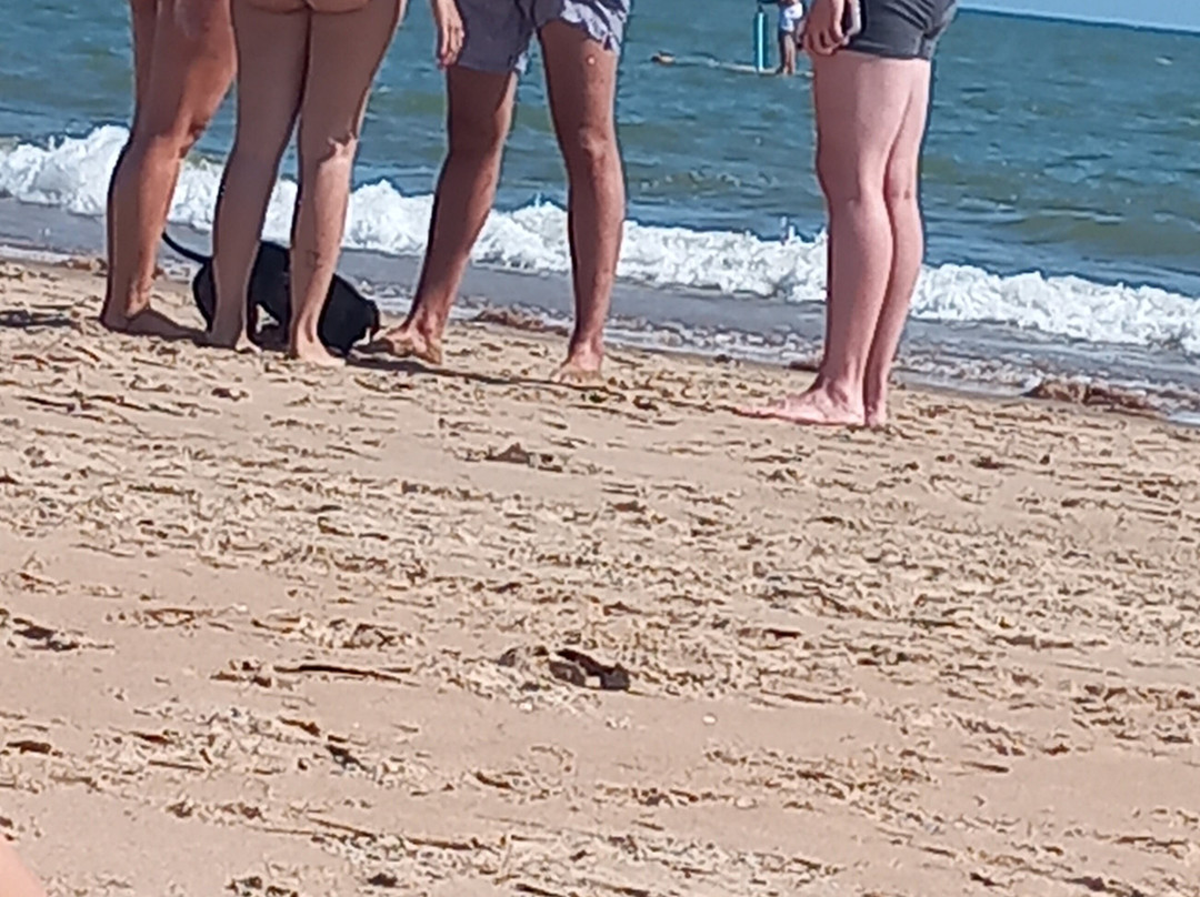 Playa de El Portil-韦尔瓦必去景点