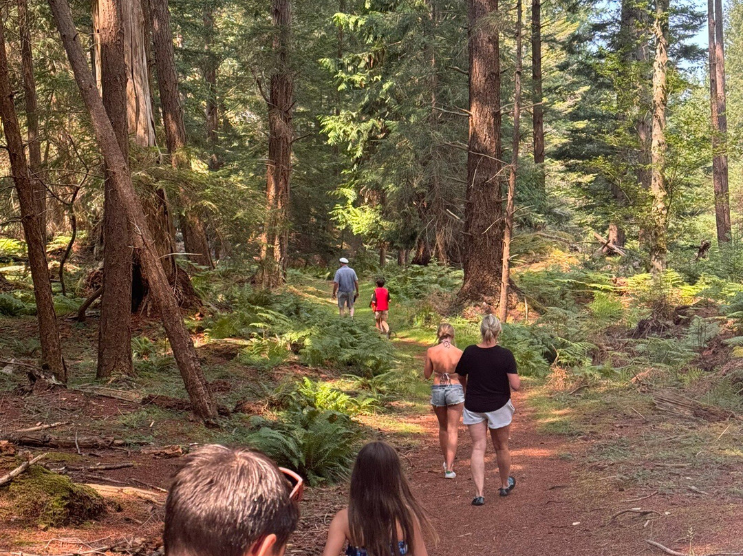 Salish Sea Boating Club-帕克斯维尔必去景点