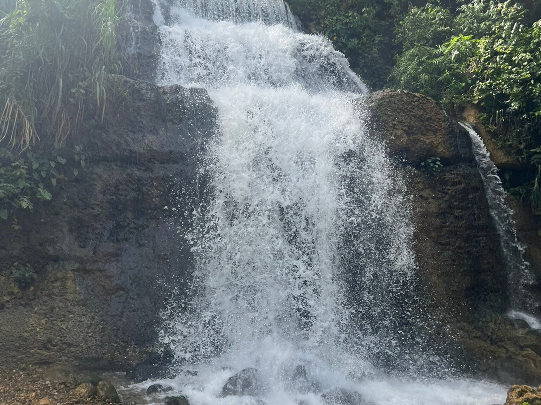 Rio Tanama-阿雷西沃必去景点
