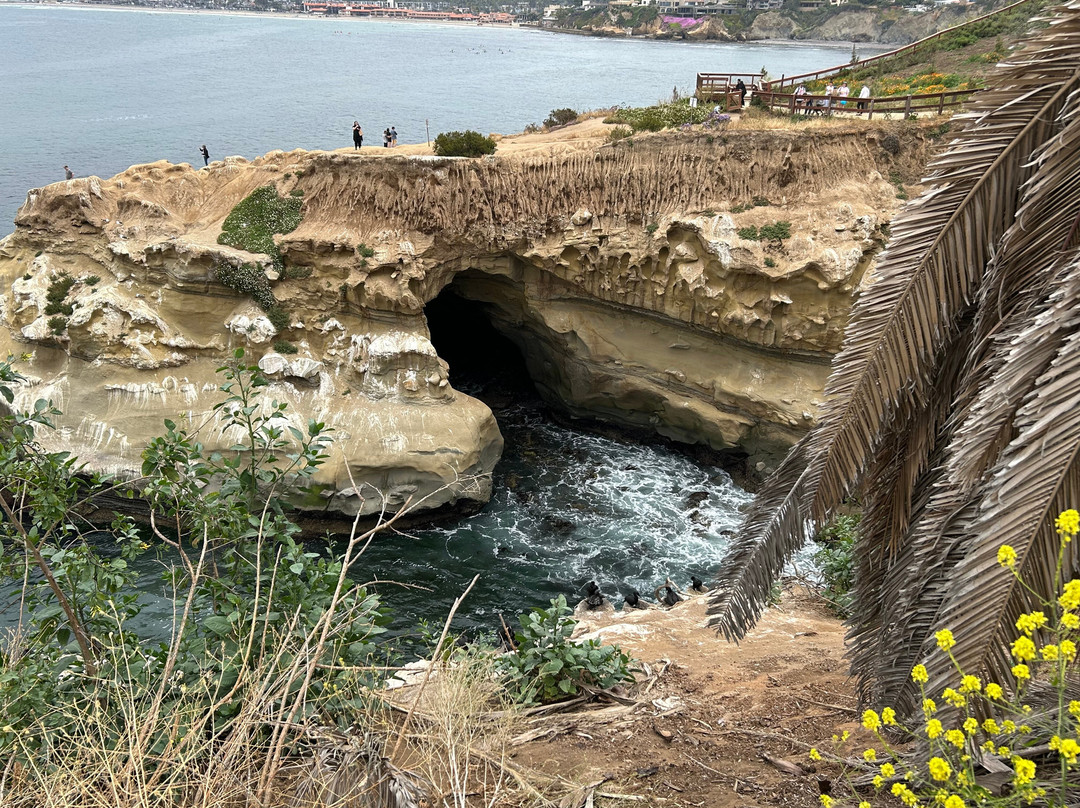 Murals of La Jolla-拉荷亚必去景点