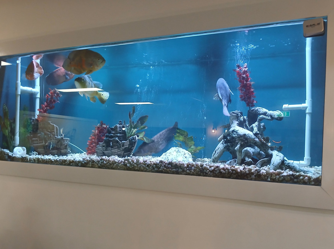 Slipway Bar & Restaurant