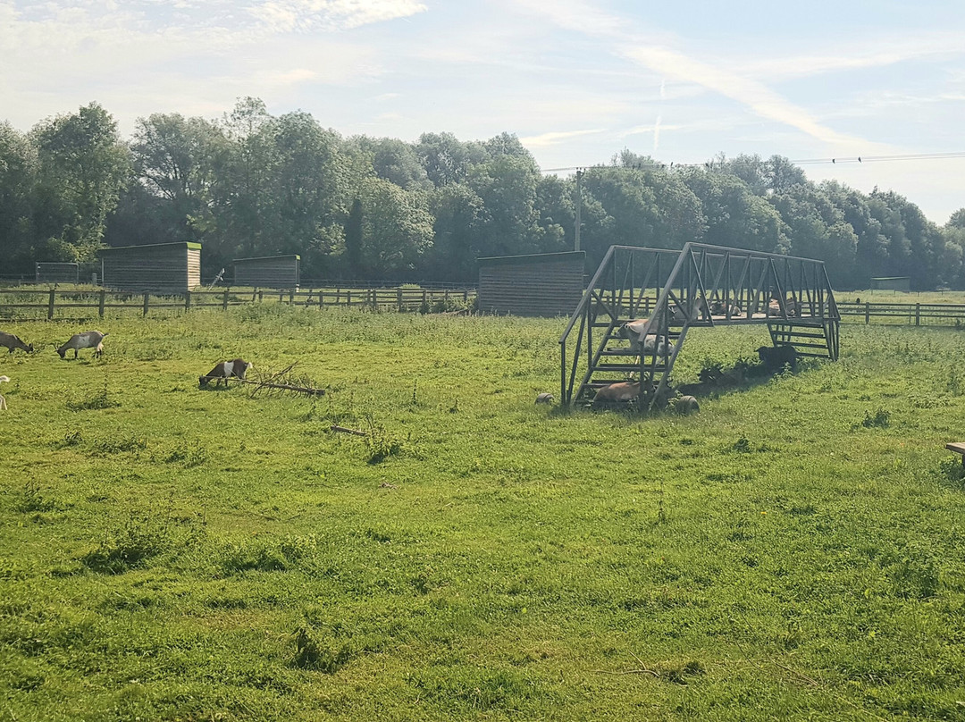 The Wild Pig Farm Shop景点图片