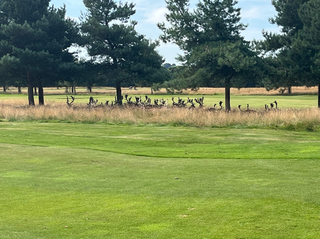 Belton Park Golf Club景点图片