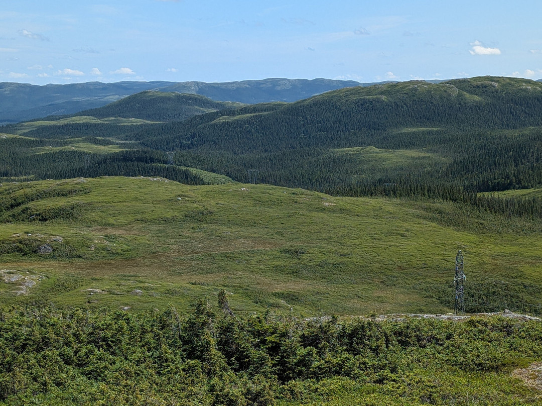 Mount Musgrave ATV Tours景点图片