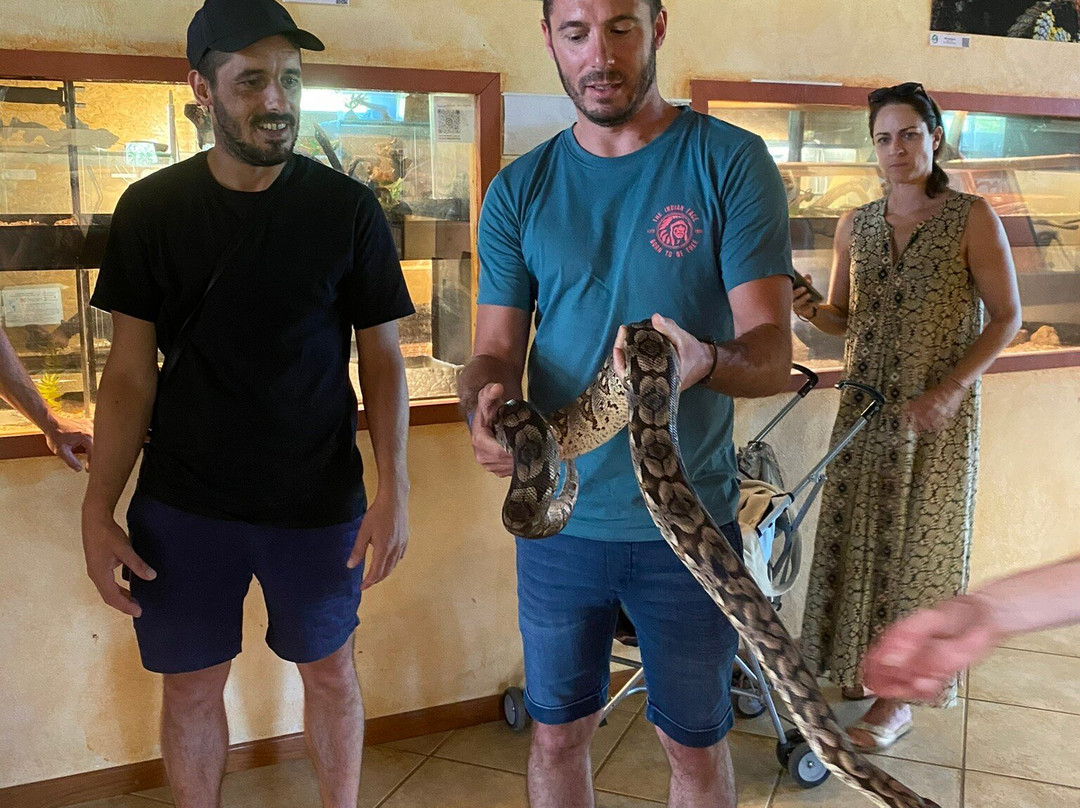 Ferme des Reptiles景点图片