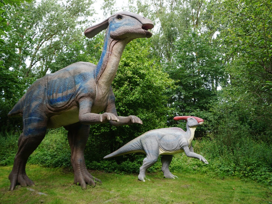 Dinosaurierland Rügen景点图片