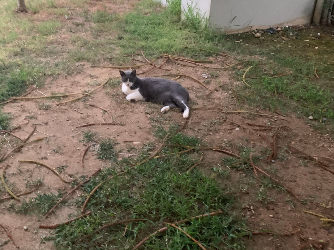 Vantaris豪华海滩度假村主图