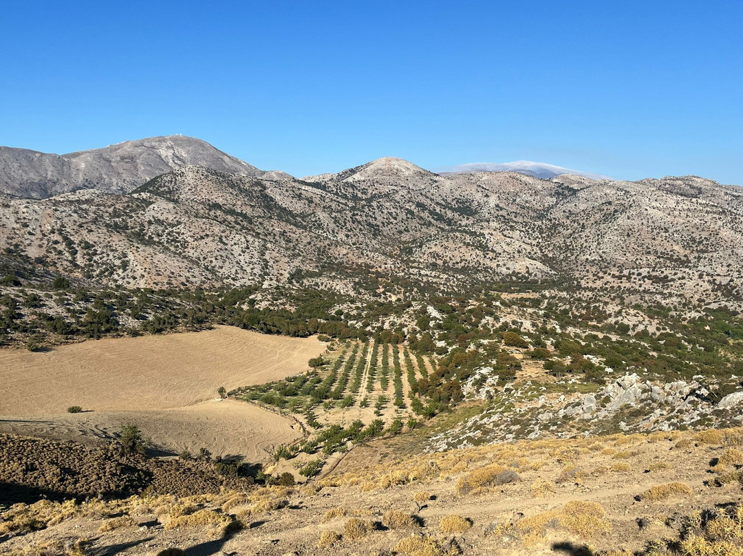 Arodamos Guesthouse主图