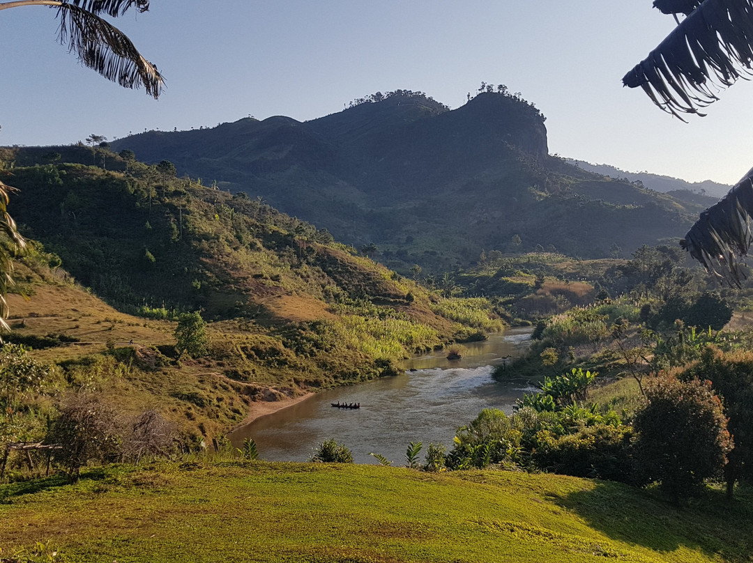 Ranomafana Arboretum景点图片