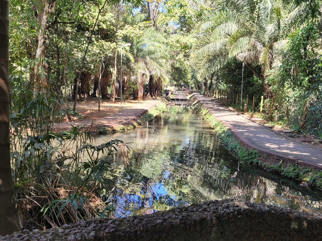 Bosque dos Buritis-戈亚尼亚必去景点