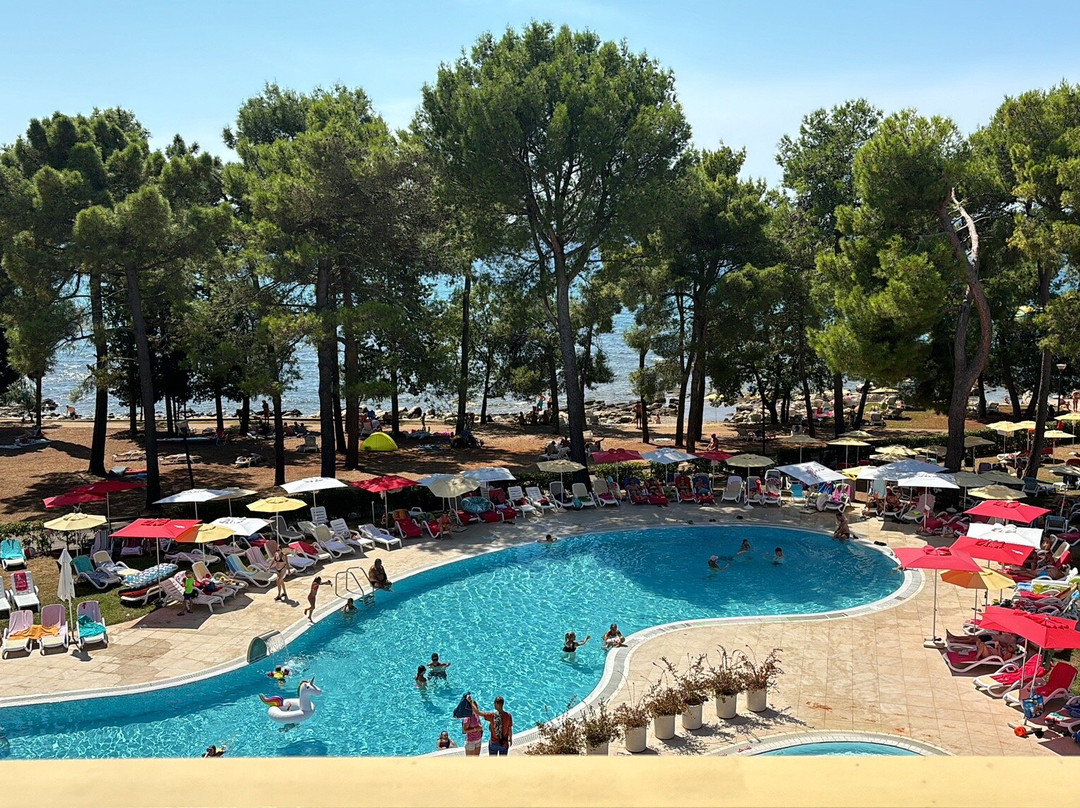 Hotel Aurora Plava Laguna主图