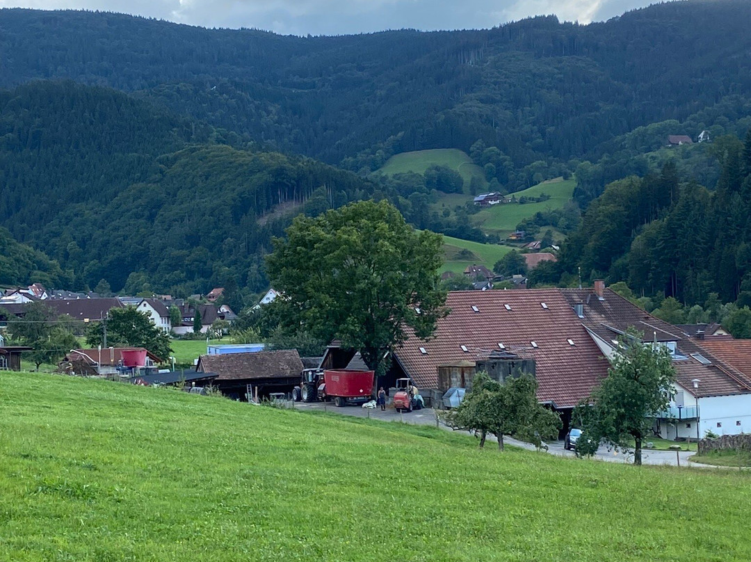 Kirnermarteshof主图