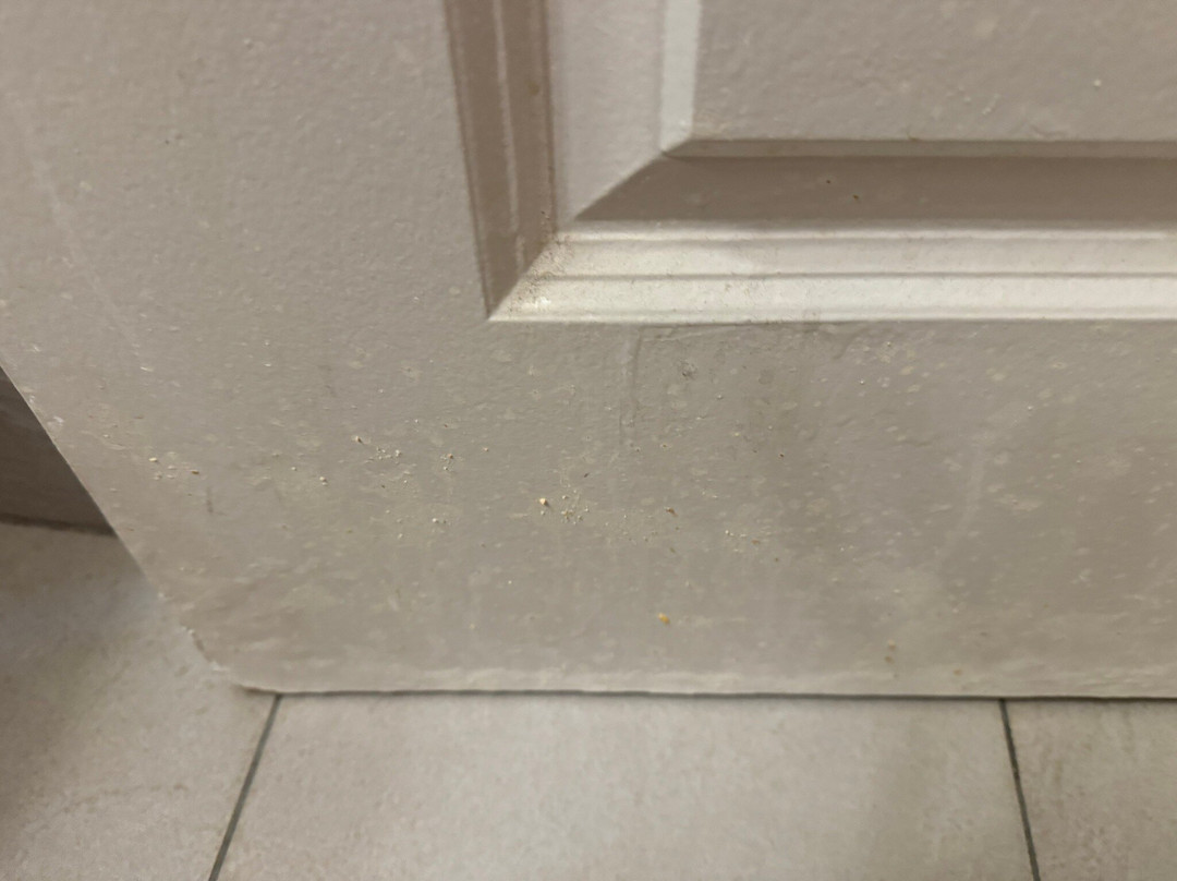 廷利公园江山旅馆&套房酒店主图