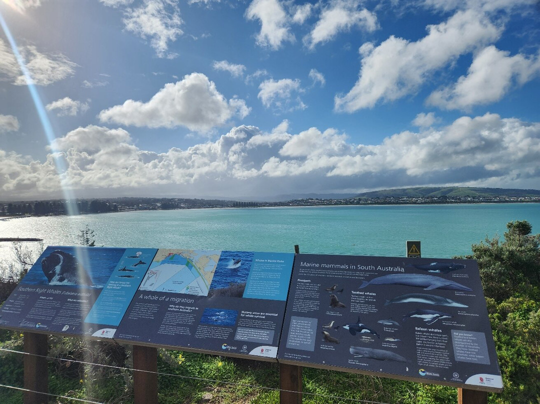 Kaiki Walk - Granite Island-维克多港必去景点