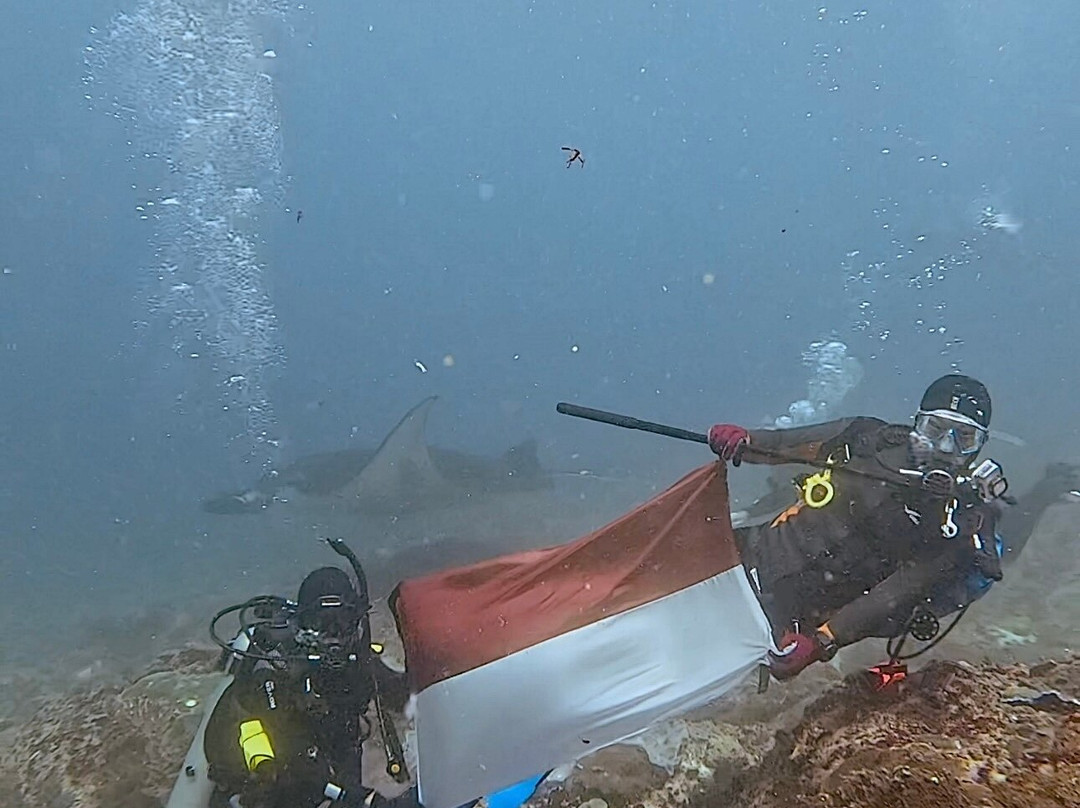 Octopus Dive Nusa Penida景点图片