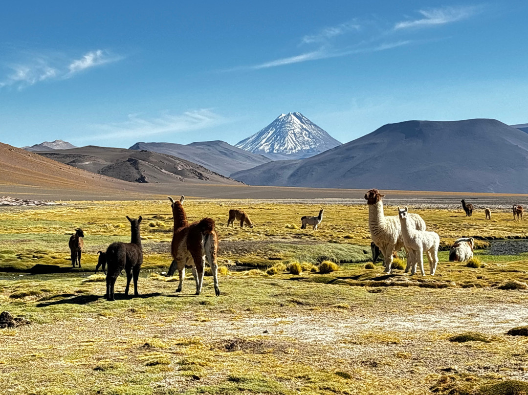Sorbac-圣佩德罗-德阿塔卡马必去景点