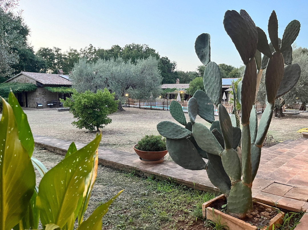 Villa Vacasio Bio-Eco主图