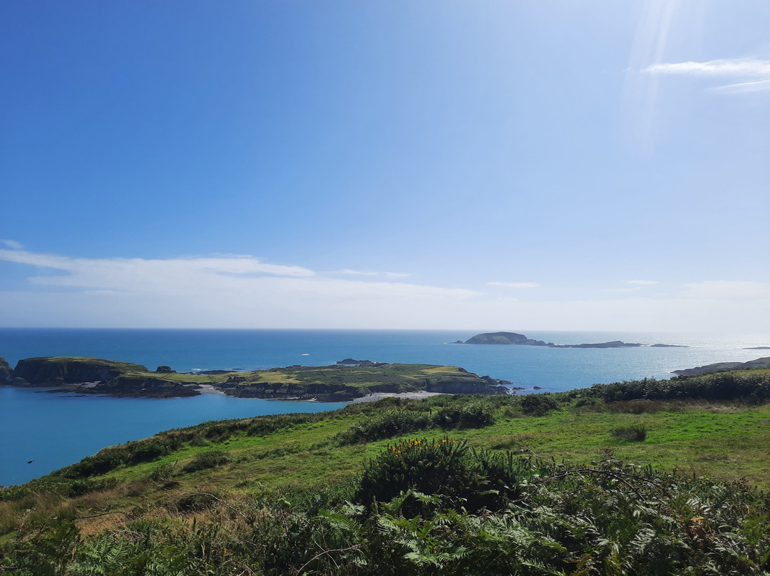 Seaside Alpacas West Cork景点图片
