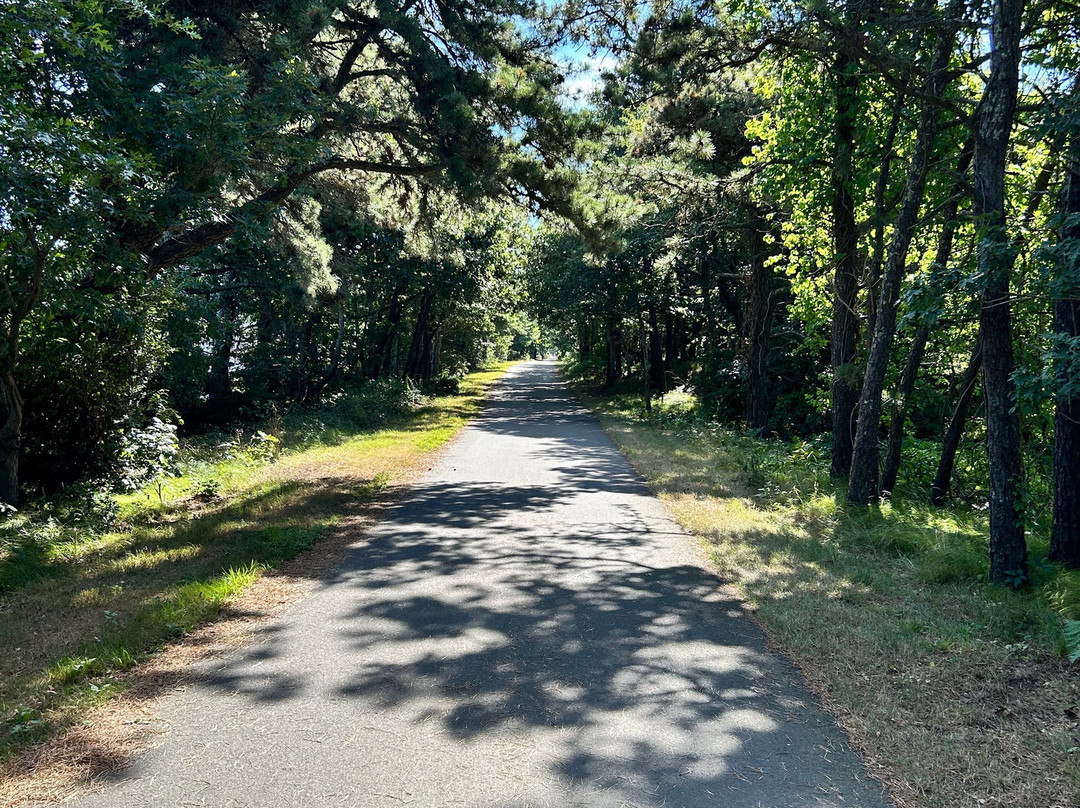 Cape Cod Rail Trail景点图片